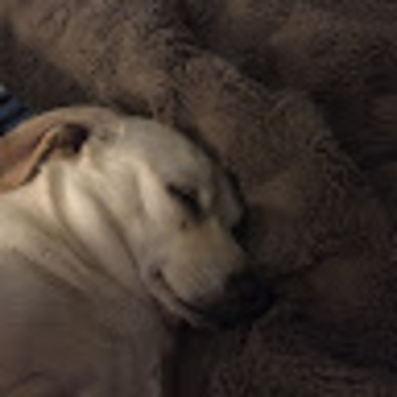 Meet your Posher, Kay - Picture 1 of 1